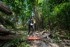 BIB: 
                            <button type="button" onclick="openModal(19388599)" class="btn btn-primary btn-sm float-right btn-popup" data-toggle="modal" data-target=".modal-high-quality">
                        <i class="fas fa-shopping-cart"></i> Add to Cart
                    </button>
                                            <button type="button" onclick="isThisMe(19388599, true)" class="btn btn-success btn-sm float-right btn-popup btn-isme hidden" data-toggle="tooltip" data-placement="bottom" title="นี่คือรูปของคุณใช่ไหม คลิกที่นี่เพื่อเอาเข้าอัลบั้ม">
                        <i class="fas fa-plus"></i> Add to album
                    </button>
                    <button type="button" onclick="isThisMe(19388599, false)" class="btn btn-warning btn-sm float-right btn-popup btn-isnotme hidden">
                        <i class="fas fa-ban"></i> Remove from album
                    </button>